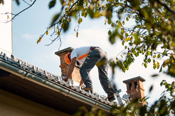 Roof Waterproofing Services in Versailles, MO